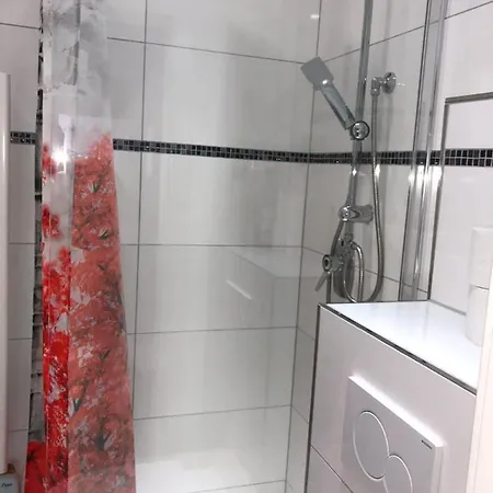 özkurt-1 * Friedrichshafen